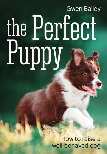 Cover for Gwen Bailey · Perfect Puppy (Paperback Book) (2017)