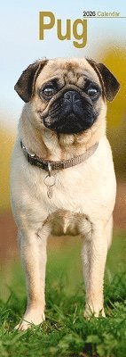 Cover for Pug Slim Calendar 2026  Dog Breed Slimline Calendar - 12 Month (Calendar) (2025)