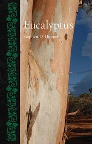 Cover for Stephen D. Hopper · Eucalyptus - Botanical (Hardcover Book) (2025)