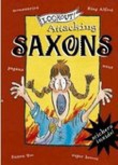 Lookout! Attacking Saxons - Elizabeth Newbery - Books - Pavilion Books - 9781841650111 - February 1, 2008