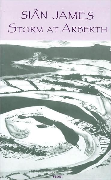 Storm at Arberth - Sian James - Libros - Poetry Wales Press - 9781854111111 - 23 de febrero de 1995