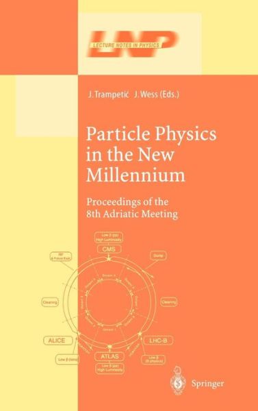 Particle Physics in the New Millennium: Proceedings of the 8th Adriatic Meeting - Lecture Notes in Physics - Josip Trampetic - Books - Springer-Verlag Berlin and Heidelberg Gm - 9783540007111 - May 21, 2003