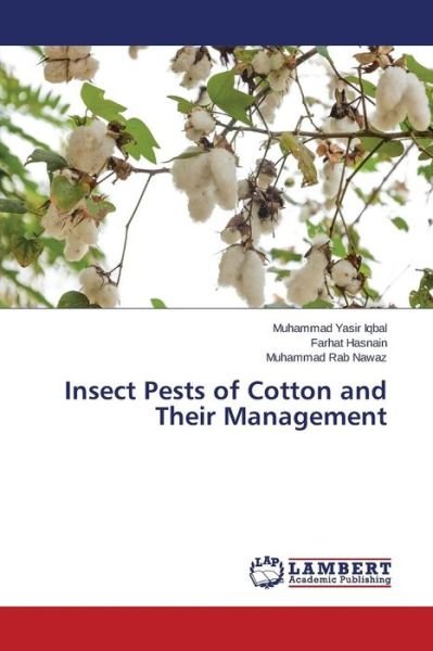 Cover for Iqbal Muhammad Yasir · Insect Pests of Cotton and Their Management (Taschenbuch) (2015)
