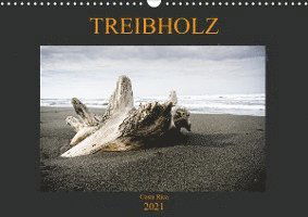 Cover for Staack · Treibholz Costa Rica (Wandkalend (Book)