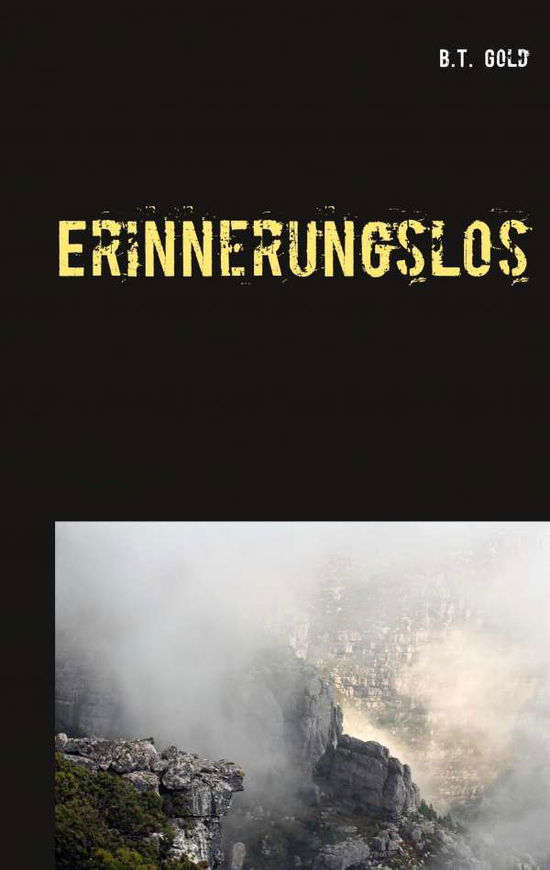 Cover for Gold · Erinnerungslos (Book)