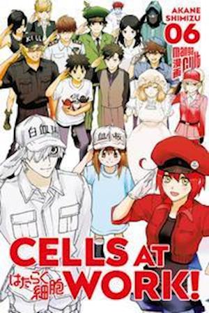 Cover for Akane Shimizu · Cells at Work! 6 (Taschenbuch) (2021)