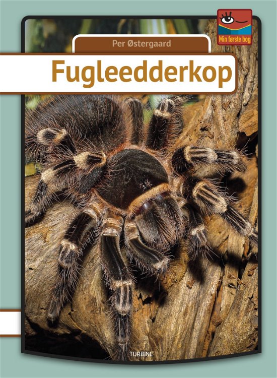 Min første bog: Fugleedderkop - Per Østergaard - Libros - Turbine - 9788740657111 - 4 de septiembre de 2019