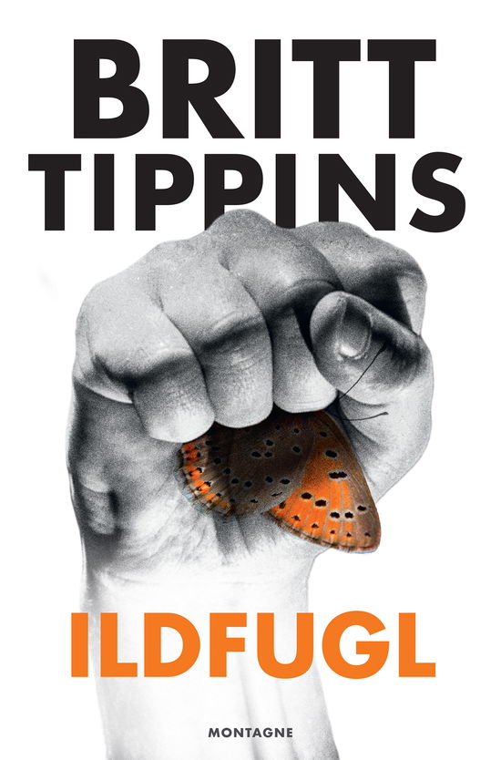 Cover for Britt Tippins · Ildfugl (Paperback Book) [1. Painos] (2019)