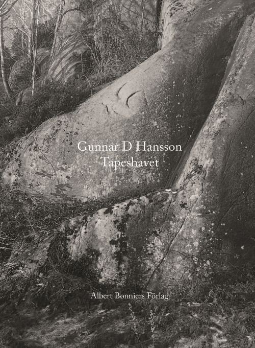 Tapeshavet - Gunnar D. Hansson - Books - Albert Bonniers förlag - 9789100173111 - September 1, 2017