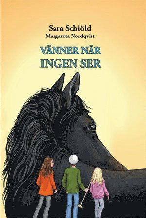 Cover for Sara Schiöld · Vänner när ingen ser (Inbunden Bok) [Ned edition] (2015)