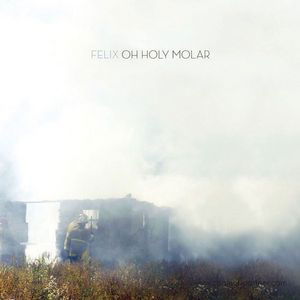 Cover for Felix · Oh Holy Molar (LP) (2012)