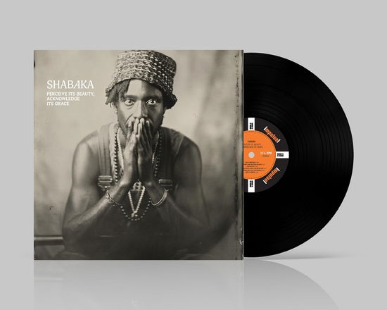 Shabaka · Perceive Its Beauty. Acknowledge Its Grace (LP) (2024)