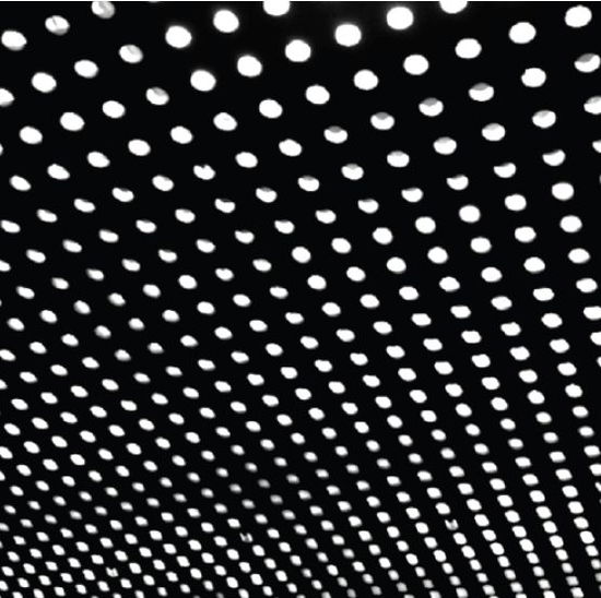 Cover for Beach House · Bloom (LP) (2012)