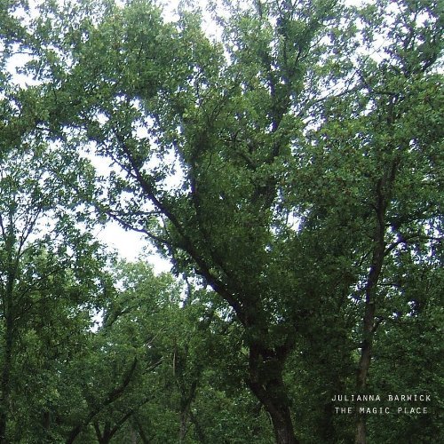 Cover for Julianna Barwick · Magic Place (LP) (2011)