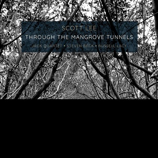 Cover for Lee · Through the Mangrove Tunnels (CD) (2020)