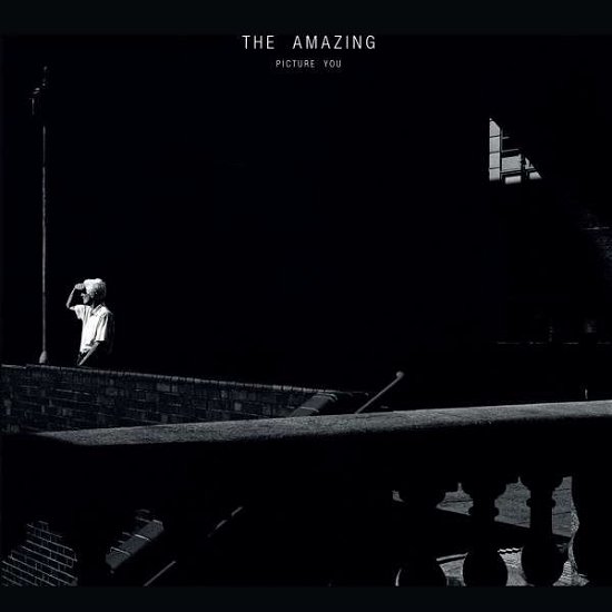 Picture You - The Amazing - Muziek - POP - 0720841211112 - 16 maart 2020