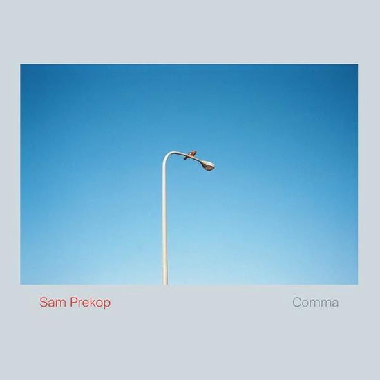 Comma (White) - Sam Prekop - Muziek - THRILL JOCKEY - 0790377324112 - 21 augustus 2020