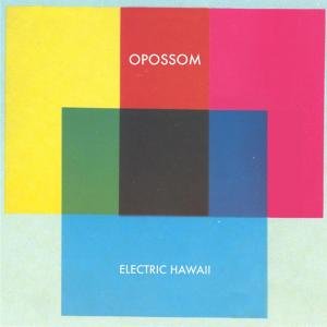 Cover for Opossom · Electric Hawaii (LP) (2015)
