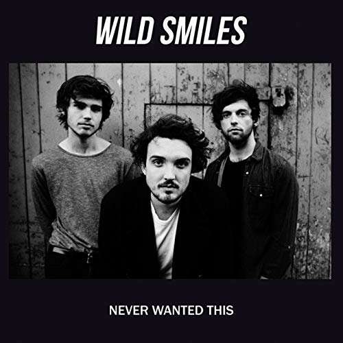 Never Wanted This - Wild Smiles - Muziek - SUNDAY BEST - 5051083082112 - 2 september 2014
