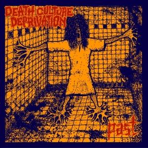 Cover for Death Culture Deprivation · Past (LP) (2024)