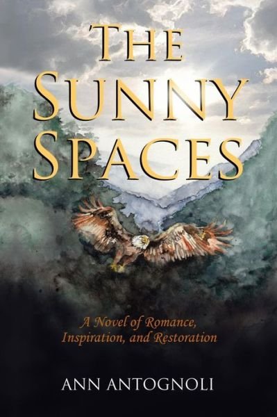 Cover for Ann Antognoli · The Sunny Spaces: a Novel of Romance, Inspiration, and Restoration (Paperback Bog) (2014)