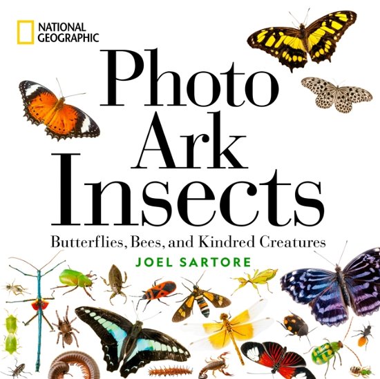 National Geographic Photo Ark Insects: Butterflies, Bees, and Kindred Creatures - The Photo Ark - Joel Sartore - Bøker - National Geographic Society - 9781426223112 - 4. april 2023