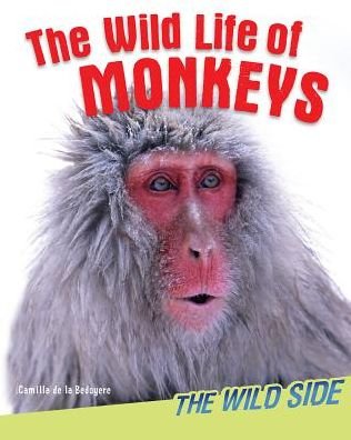 Cover for Camilla De la Bédoyère · The wild life of monkeys (Buch) (2014)