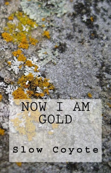 Cover for Slow Coyote · Now I Am Gold (Taschenbuch) (2015)