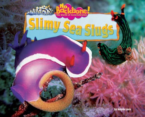 Cover for Natalie Lunis · Slimy Sea Slugs (No Backbone! the World of Invertebrates) (Inbunden Bok) (2007)