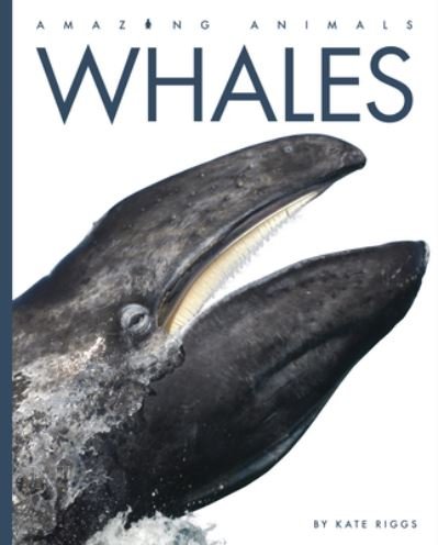 Cover for Kate Riggs · Whales (N/A) (2022)