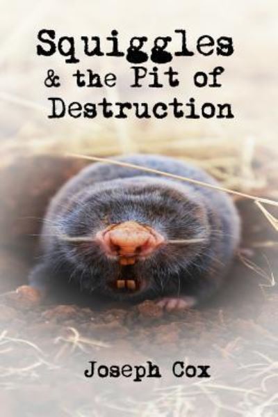 Squiggles and the Pit of Destruction - Joseph Cox - Books - Big Picture Books - 9781733280112 - July 4, 2019