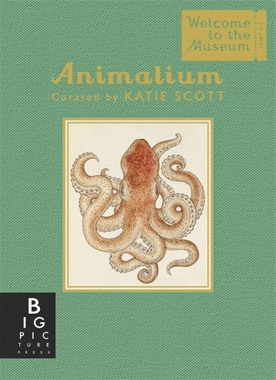 Animalium (Mini Gift Edition) - Welcome To The Museum - Jenny Broom - Livres - Templar Publishing - 9781783706112 - 8 septembre 2016