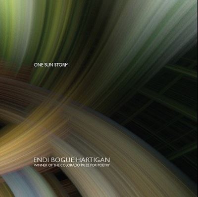 Cover for Endi Bogue Hartigan · One Sun Storm (Paperback Book) (2008)