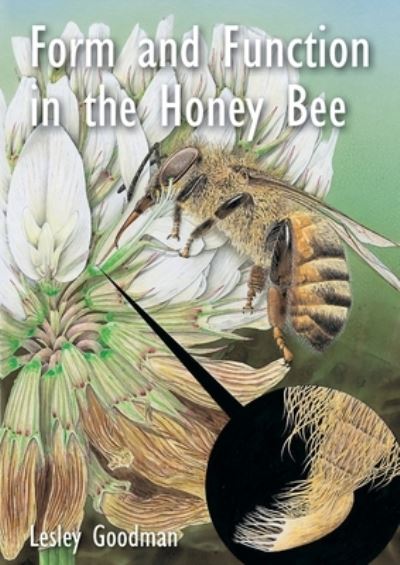 Form and Function in the Honey Bee - Lesley Goodman - Książki - Ibra & Nbb - 9781913811112 - 23 maja 2022