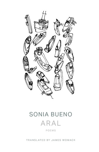 Cover for Sonia Bueno · Aral (Paperback Book) (2019)