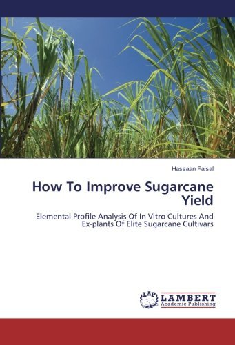 Cover for Hassaan Faisal · How to Improve Sugarcane Yield: Elemental Profile Analysis of in Vitro Cultures and Ex-plants of Elite Sugarcane Cultivars (Paperback Book) (2013)
