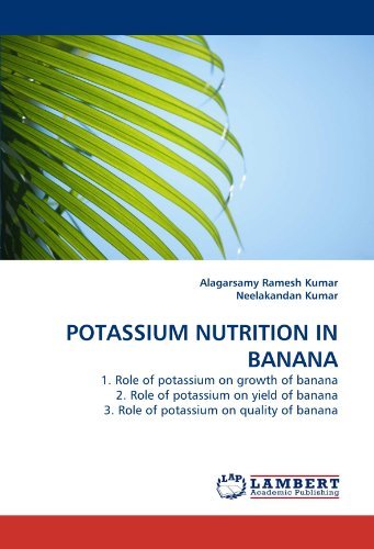 Cover for Neelakandan Kumar · Potassium Nutrition in Banana: 1. Role of Potassium on Growth of Banana 2. Role of Potassium on Yield of Banana 3. Role of Potassium on Quality of Banana (Paperback Bog) (2010)