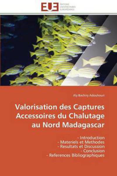 Cover for Aly Bachiry Adouhouri · Valorisation Des Captures Accessoires Du Chalutage Au Nord Madagascar: - Introduction  - Materiels et Methodes  - Resultats et Discussion  - Conclusion  - References Bibliographiques (Paperback Book) [French edition] (2018)