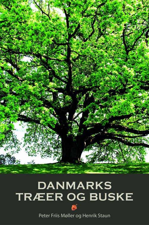 Cover for Henrik Staun og Peter Friis Møller · Danmarks Træer og Buske (Indbundet Bog) [2. udgave] (2015)
