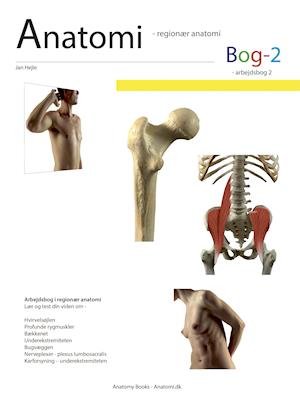 Cover for Jan Hejle · Arbejdsbøger - Bevægeapparatets anatomi: Anatomi - Bog 2 (Spiral Book) [1.º edición] (2019)