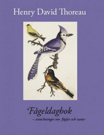 Cover for Henry David Thoreau · Fågeldagbok : anteckningar om fåglar och natur (Bound Book) (2009)