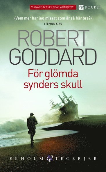 För glömda synders skull - Robert Goddard - Bøger - Ekholm & Tegebjer förlag - 9789186048112 - 30. september 2010