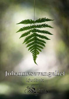 Cover for Svenska Folkbibeln · Johannesevangeliet (Audiobook (CD)) (2009)