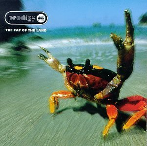 Cover for The Prodigy · The Fat Of The Land (LP) [Reissue edition] (2009)