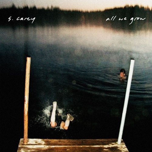 Cover for S. Carey · All We Grow (LP) [Standard edition] (2010)