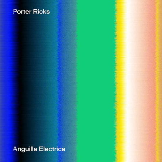 Cover for Porter Ricks · Anguilla Electrica (LP) (2017)