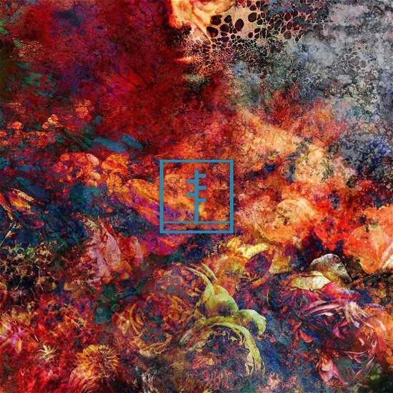 Cover for Frail Body · Artificial Bouquet (LP) (2024)