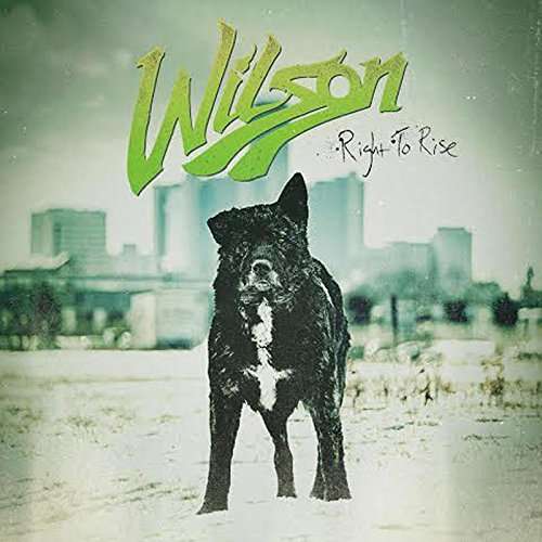 Cover for Wilson · Right to Rise (LP) (2015)