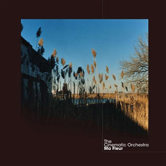 Cover for The Cinematic Orchestra · Ma Fleur (LP) [High quality vinyl edition] (2020)