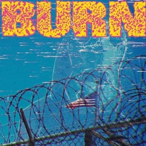 Burn · From the Ashes (7") (2016)